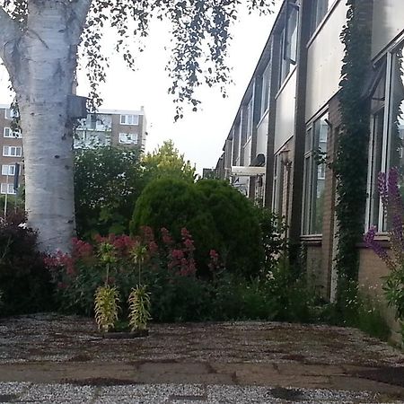 Homestay Dutchable Алфен-ан-ден-Рейн Экстерьер фото